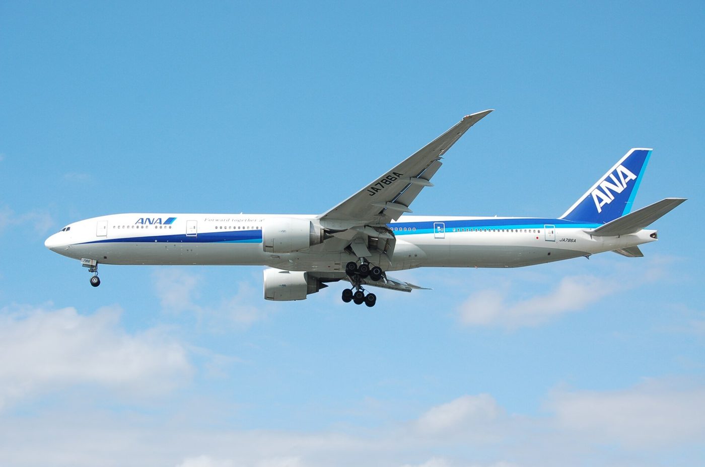 ANAの機体の外観