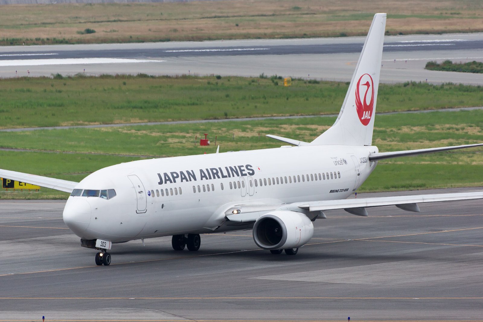 この機種（JALの737-800）の外観