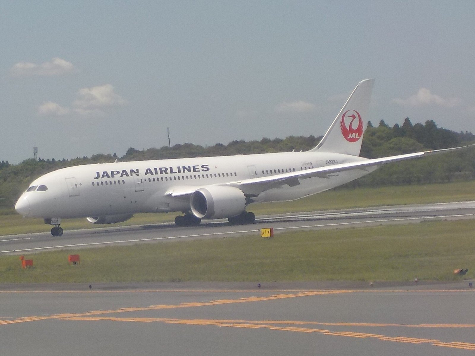 この機種（JALの787-8）の外観